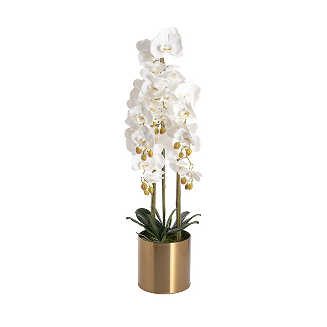 Artificial Orchid Pot Plant 5 Stem White (88cmH)