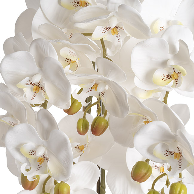 Artificial Orchid Pot Plant 5 Stem White (88cmH)