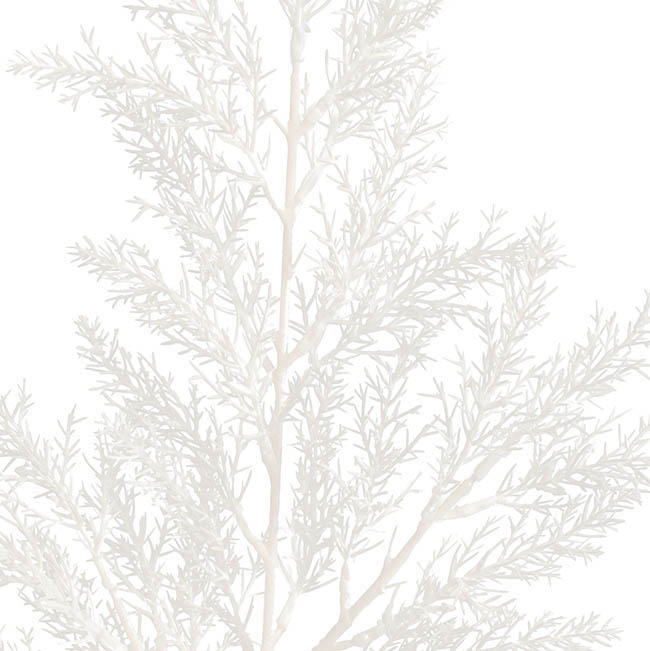 Cypress Fern Spray White (64cmH)