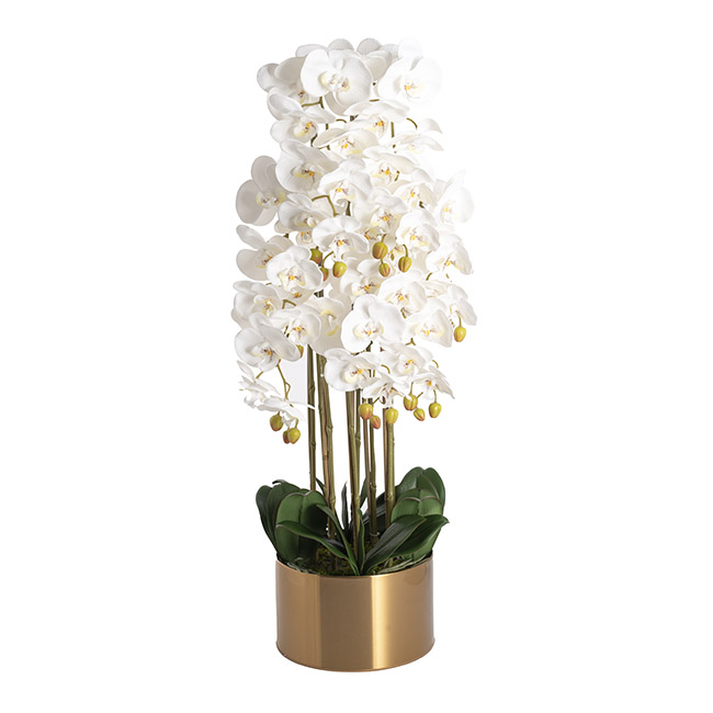 Artificial Grand Orchid Pot Plant 8 Stem White (90cmH)