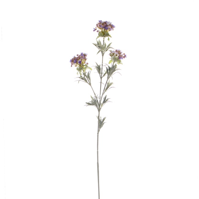 Sweet Alyssum Spray Lavender (78cmH)