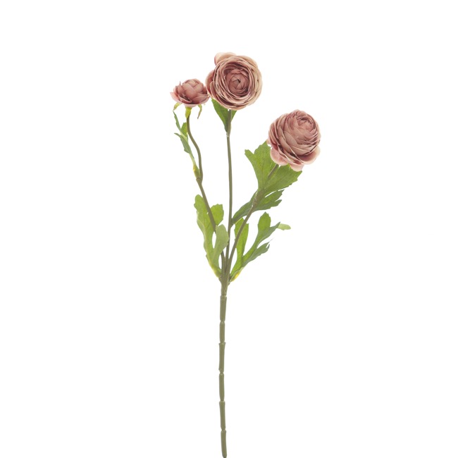 Petite Ranunculus Spray Dusty Rose (42cmH)