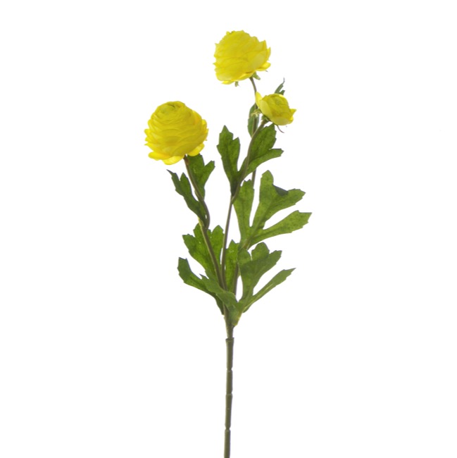Petite Ranunculus Spray Yellow (42cmH)