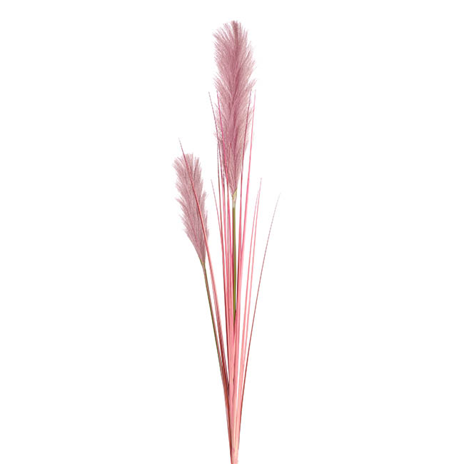 Pampas Grass Spray Dusty Pink (137cm)