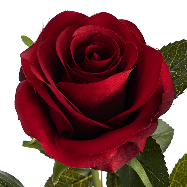 Valentina Silk Open Rose Red (65cmH)