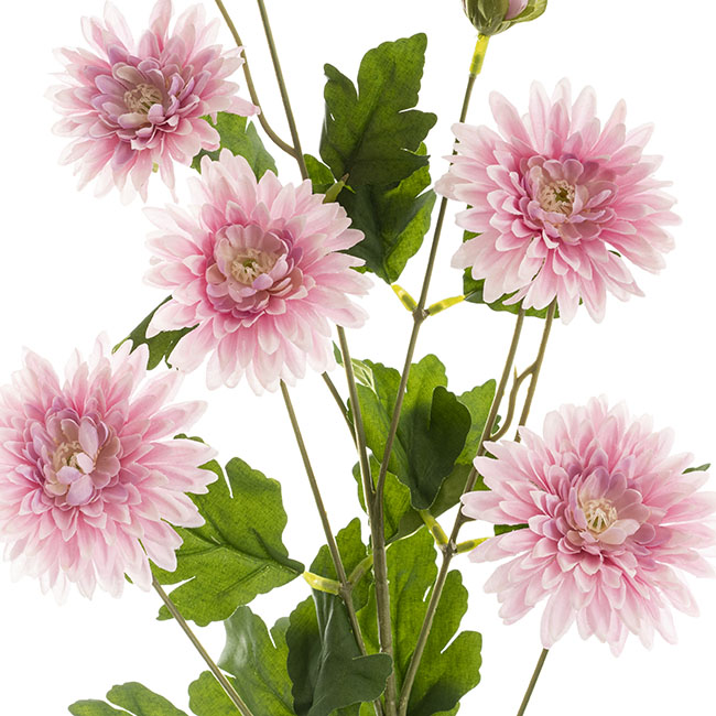 Chrysanthemum x 7 Head Spray Soft Pink (83cmH)