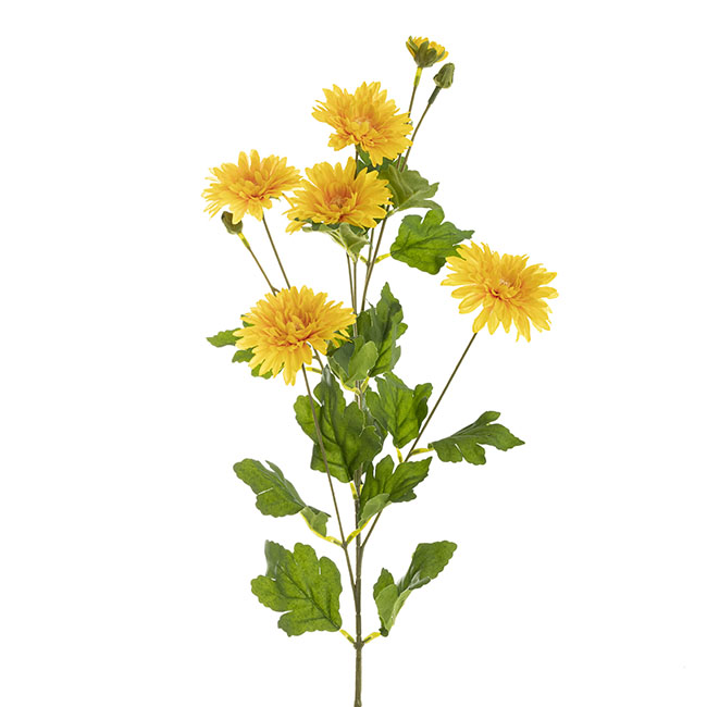 Chrysanthemum x 7 Head Spray Yellow (83cmH)
