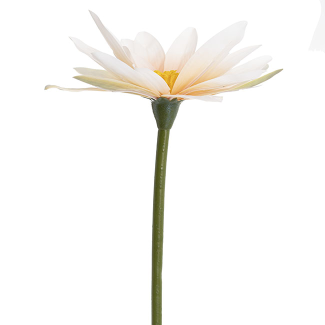 Lotus Flower Peach (23cmDx80cmH)
