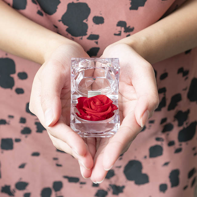 Preserved Red Rose in Diamond  Acrylic Box Pack 12 (4.5cmH)