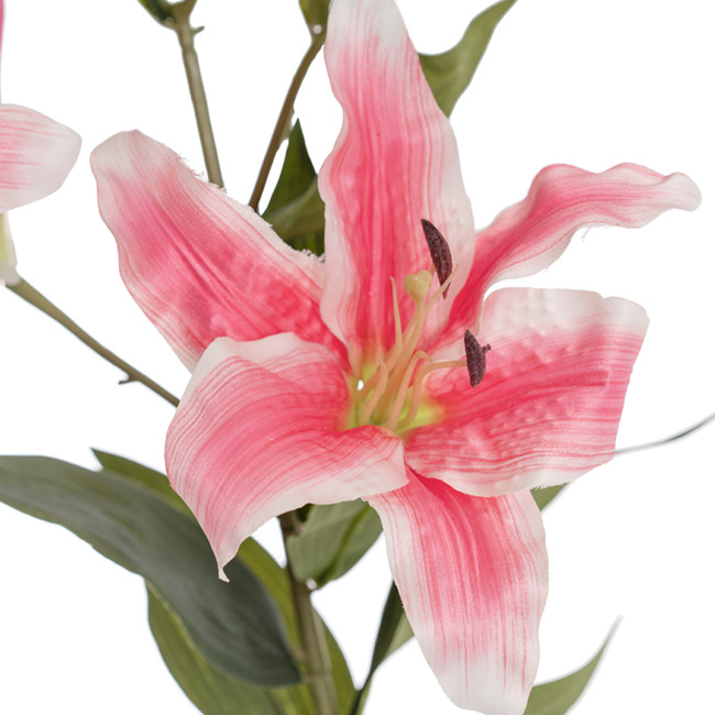 Artificial Large Tiger Lily 5 Head Hot Pink (99cmH)