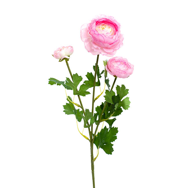 Helena Ranunculus Spray Light Pink (61cmH)