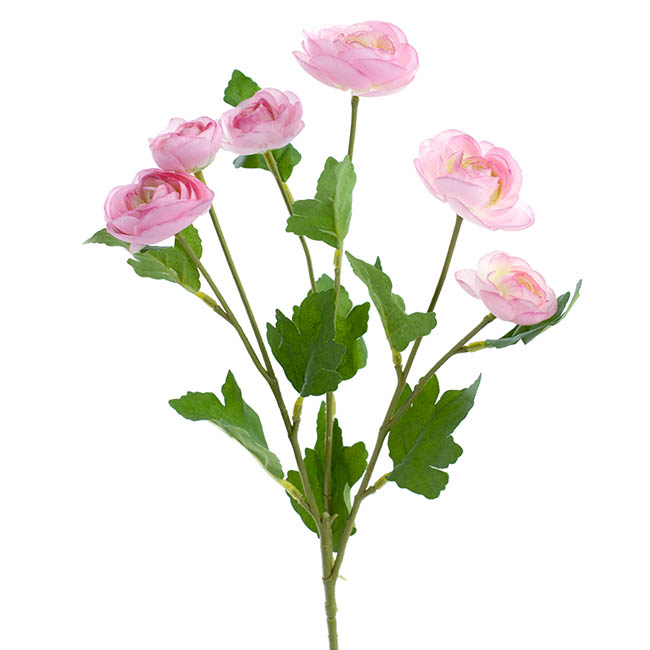 Mini Ranunculus Spray Pink (67cmH)