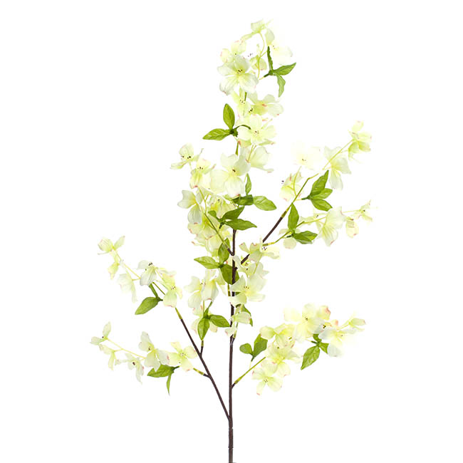 Dogwood Flower Spray Light Green (103cmH)