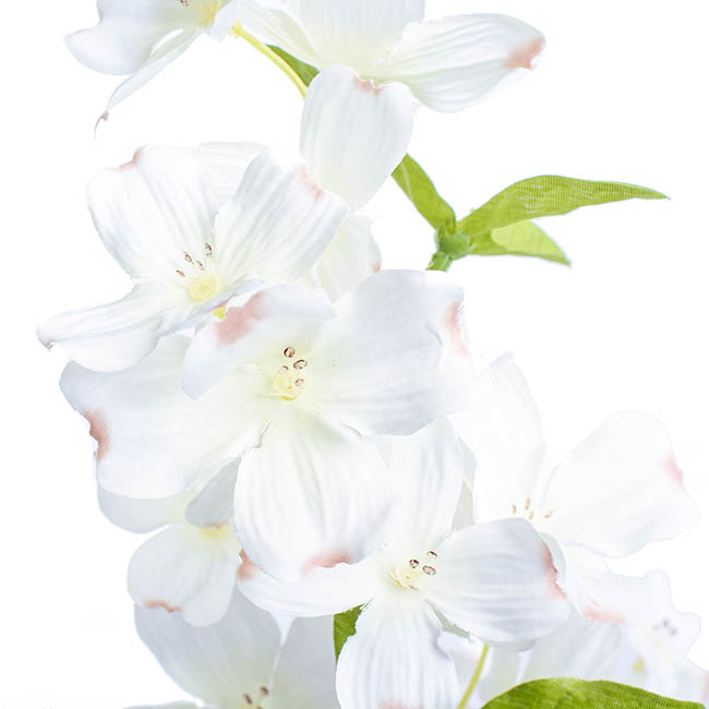Dogwood Flower Spray White (103cmH)