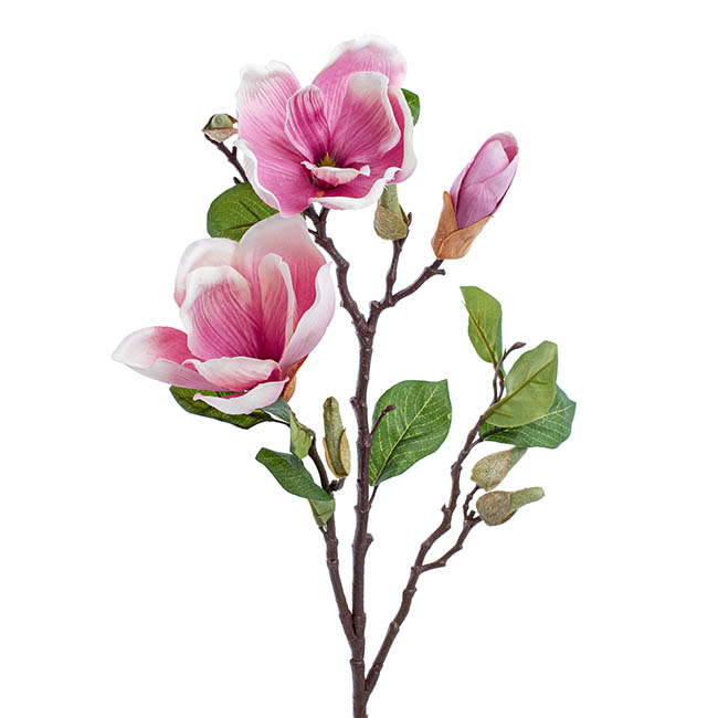 Magnolia Open Flower Spray with Bud Mauve (71cmH)