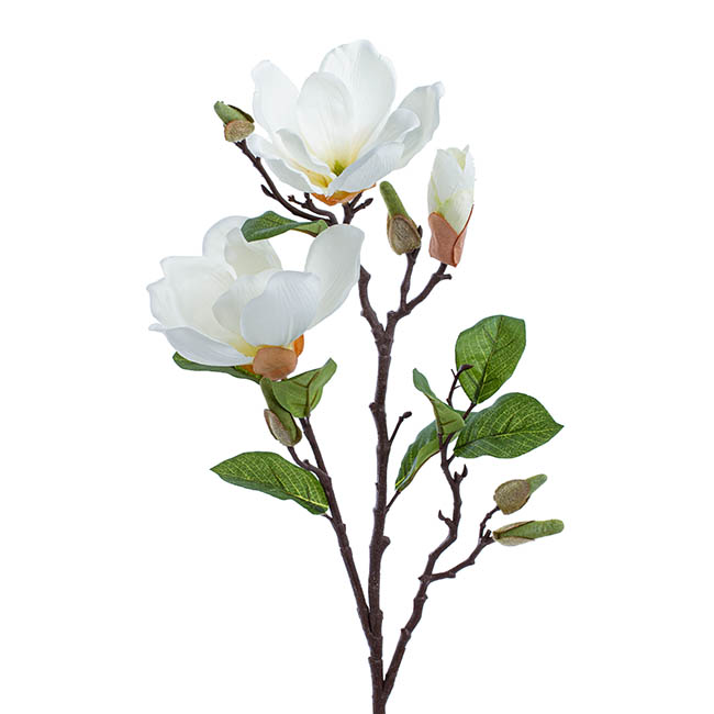 Magnolia Open Flower Spray with Bud White (71cmH)