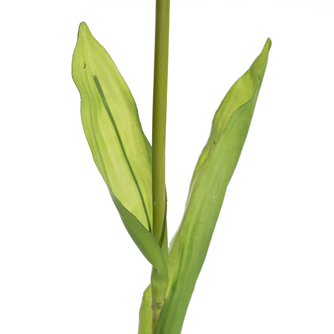 Tulip Single Stem Yellow (58cmH)
