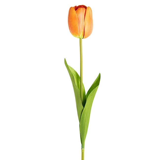 Real Look Tulip Orange (6cmDx63cmH)