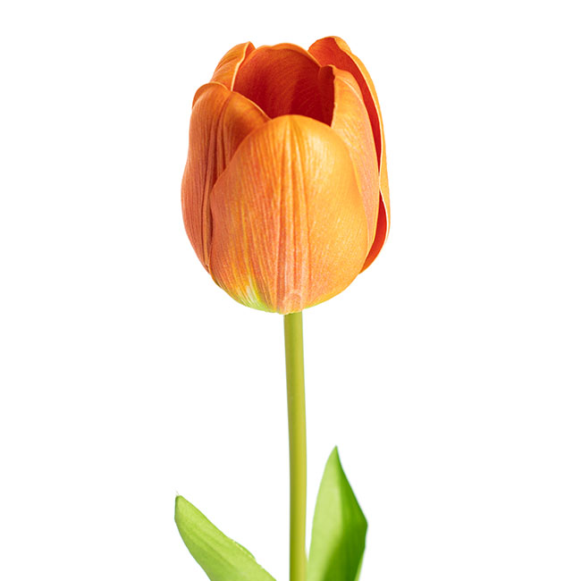 Real Look Tulip Orange (6cmDx63cmH)