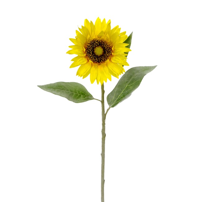 Sunflower Stem Yellow (72cmH)