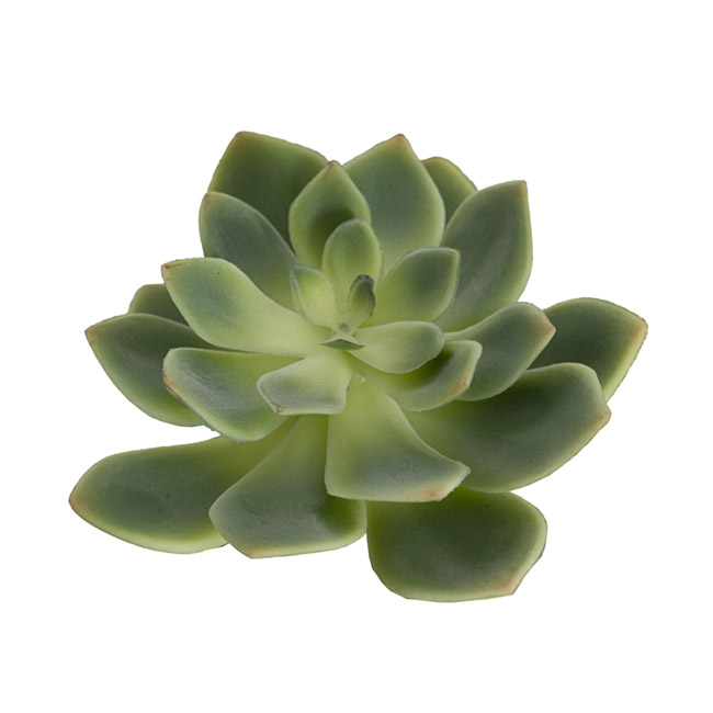 Artificial Succulent Echeveria Prince Green (15cmDx15cmH)