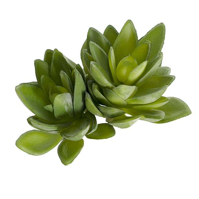 Artificial Succulent Florette 2 Head Spray Green (18cmH)