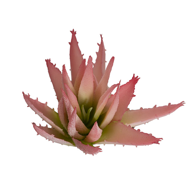 Artificial Aloe Brevifolia Succulent Pink (19cmH)