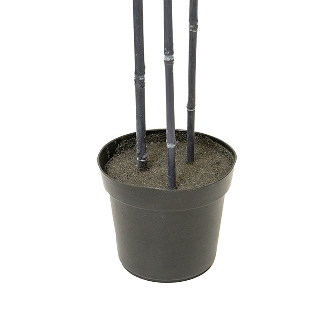 Real Touch 3 Stem Potted Bamboo Tree Green (220cmH)