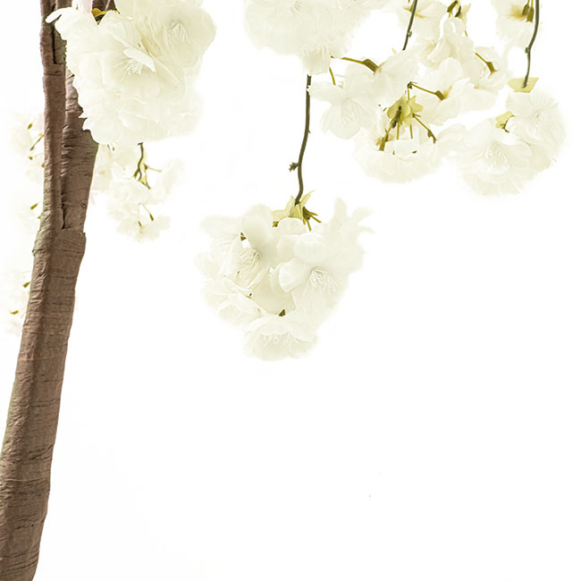 Artificial Cherry Blossom Tree White (80cmDx120cmH)