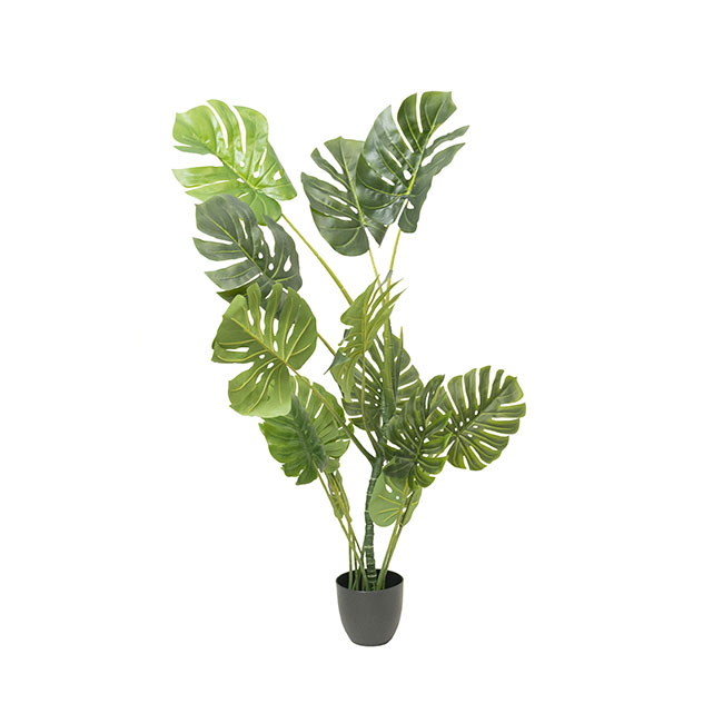 Real Touch 14 Stem Monstera Potted Plant Green (150cmH)