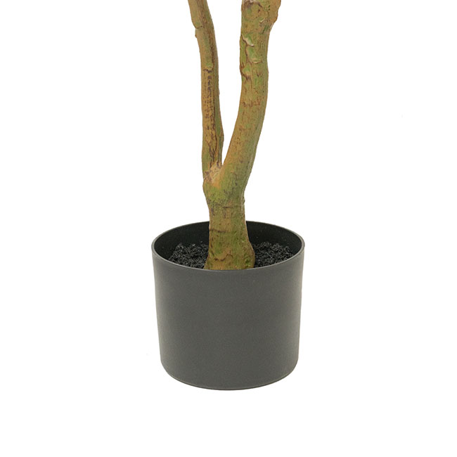 Real Touch Ficus Umbellata Potted Tree Green (145cmH)