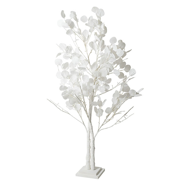 LED Dollar Gum Eucalyptus Tree White (40cmDx120cmH)