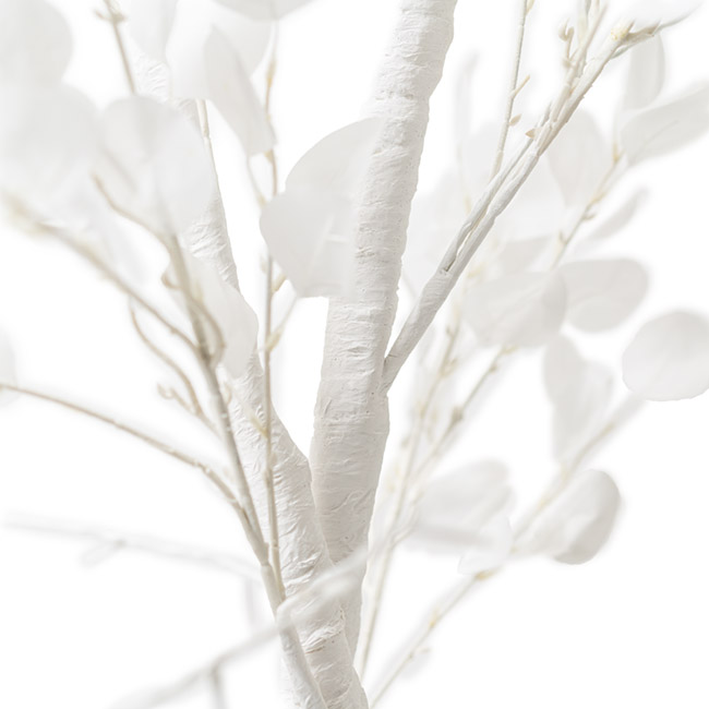LED Dollar Gum Eucalyptus Tree White (40cmDx120cmH)