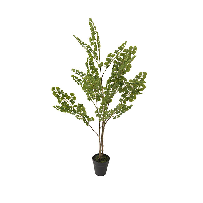 Artificial Ginkgo Potted Tree Green (120cmH)