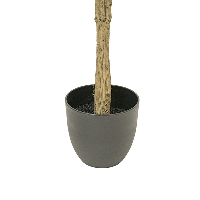 Real Touch Hackberry Potted Tree Green (160cmH)