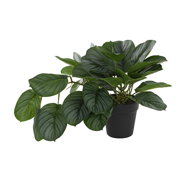 Real Touch Arrowroot Draping Potted Plant Green (35cmH)