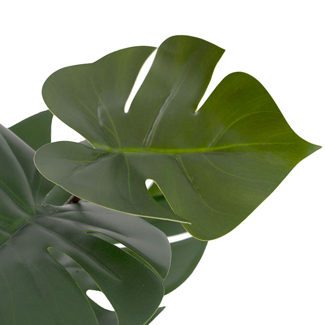 Real Touch Monstera Potted Plant Green (40cmH)