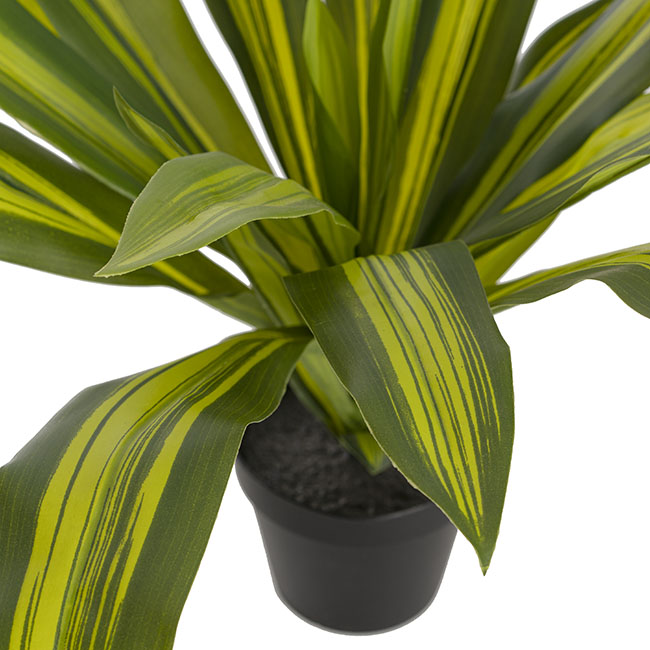 Artificial Potted Dracaena Plant Green (57cmH)