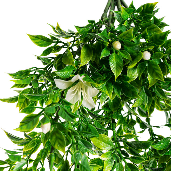 UV Treated Hanging Plant White Azalea Green (54cmH)