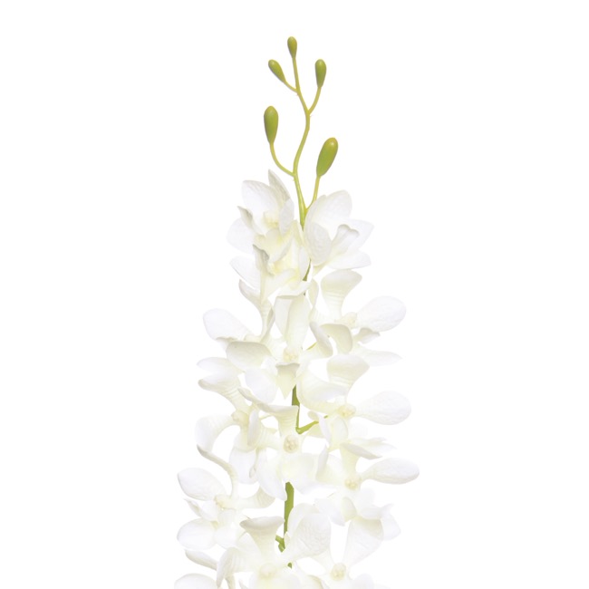 Dendrobium Tropical Orchid 20 Flowers Cream (95cmH)