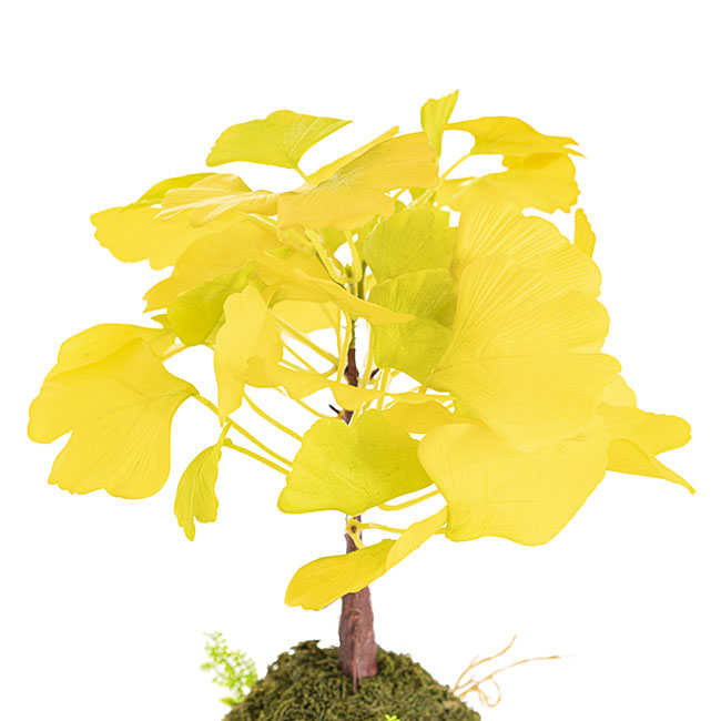 Artificial Ginkgo Tree Kokedama Yellow (34cmH)