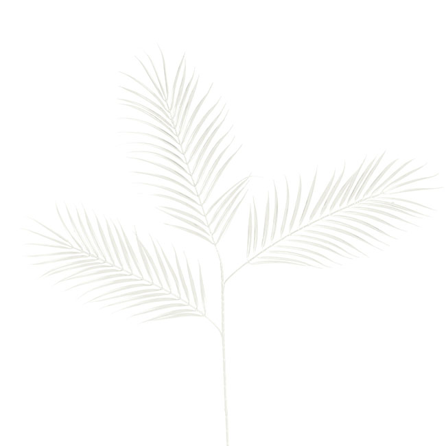 Palm Leaf Spray Cream (95cmH)