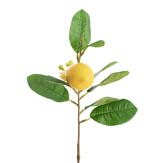 Lemon Spray Yellow (42cmH)
