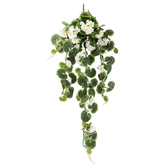 Geranium Hanging Bush White (73cmH)