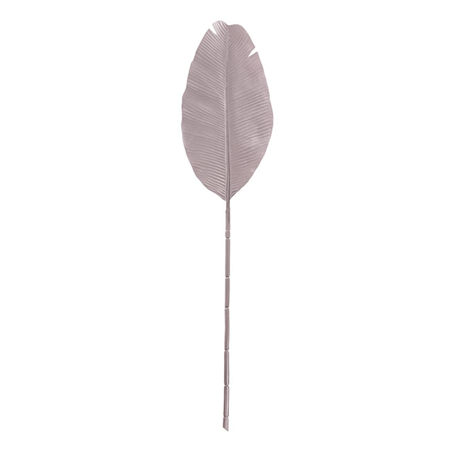 Bird of Paradise Leaf Long Stem Metallic Almond (95cmH)