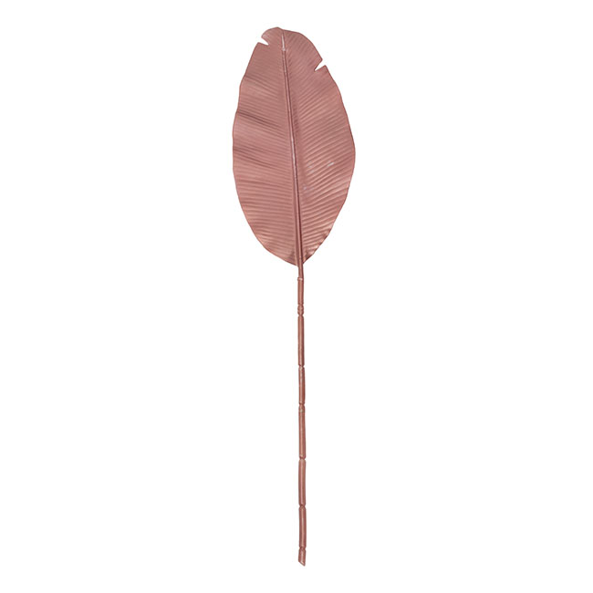 Bird of Paradise Leaf Long Stem Metallic Pink (95cmH)