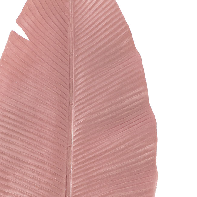 Bird of Paradise Leaf Long Stem Metallic Pink (95cmH)