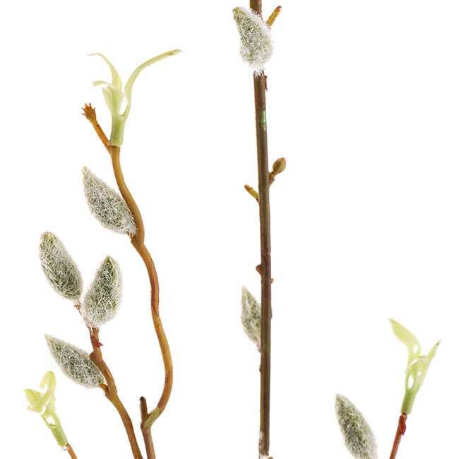 Artificial Pussy Willow Long Stem Spray Brown (103cmH)