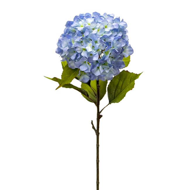 Princess Hydrangea Stem Blue (106cmH)