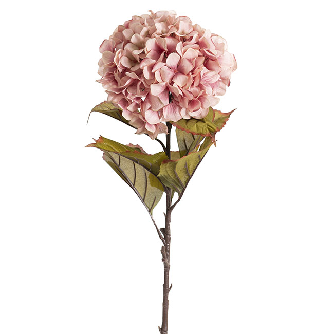 Princess Hydrangea Stem Blush Pink (106cmH)